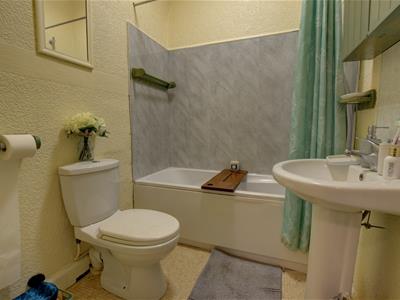 Picture 5